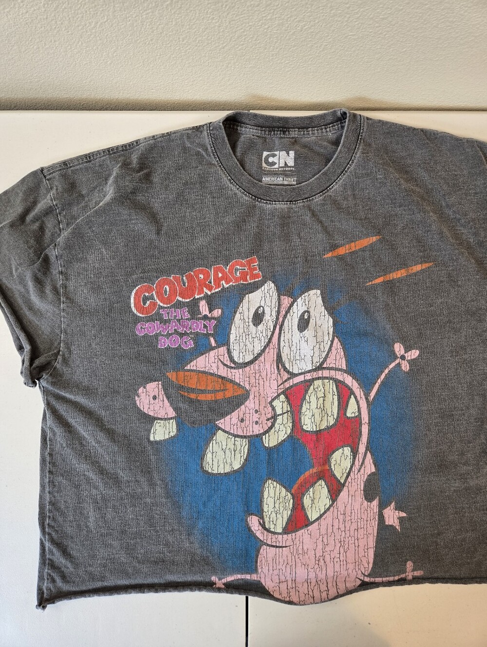 Cartoon Network Courage the Cowardly Dog Distressed Graphic Tee 2X Cotton